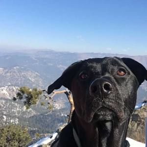 Meet your Posher, Benjamin